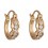Boucles d'oreilles anneaux oxyde de zirconium doré Couleur Blanc
